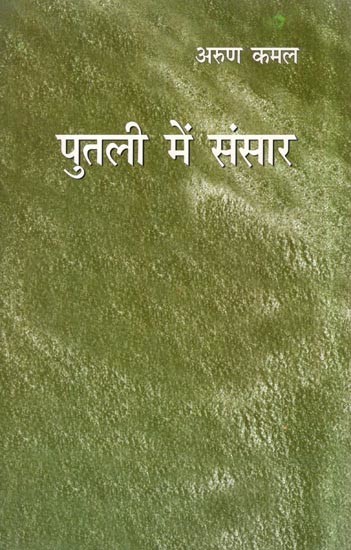 पुतली में संसार- Putli Mein Sansar (Collection of Poetry)
