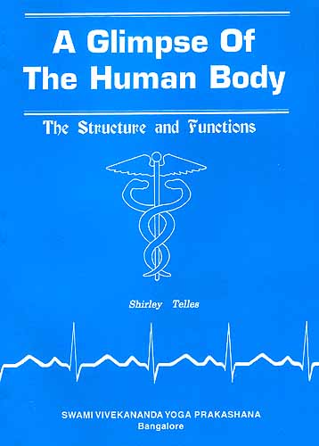 A Glimpse Of The Human Body: The Structure and Functions