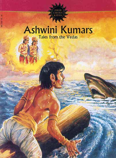 Ashwini Kumars: Tales from the Vedas (Paperback Comic Book)