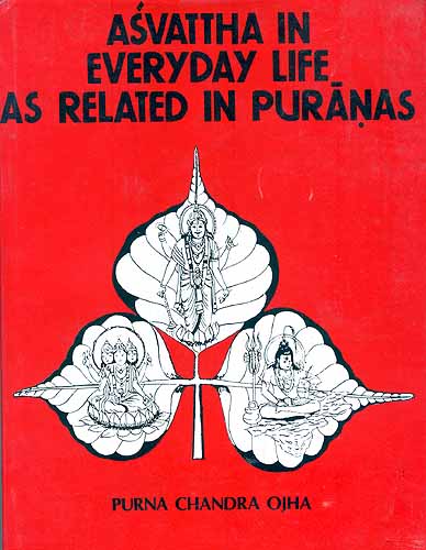 Asvattha in Everyday Life as Related in Puranas