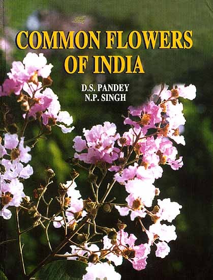 Common Flowers Of India