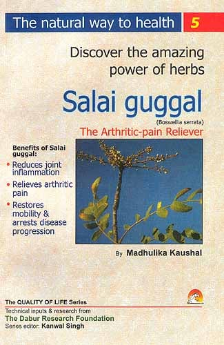 Discover the amazing powers of herbs: Salai guggal (Boswellia Serrata) The Arthritic-Pain Reliever
