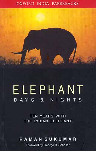 Elephant Days and Nights