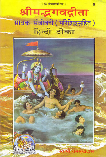 श्रीमद्भगवद् गीता (साधक हिन्दी टीका)  Shrimad Bhagawad Gita (With Sadhaka Sanjeevani Commentary by Swami Ramsukhdas)