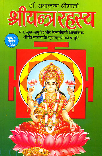श्रीयन्त्र रहस्य (धन, सुख-समृध्दि और एश्वर्यदायी अलौकिक यन्त्र) - Secrets of Shri Yantra
