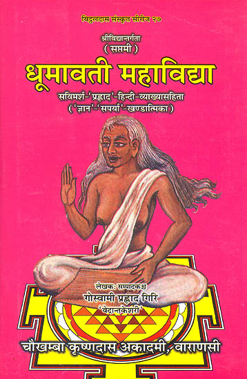 धूमावती महाविद्द्या (संस्कृत एवम् हिन्दी अनुवाद) - Dhumavati Mahavidya on  Srividya (Part- VII)
