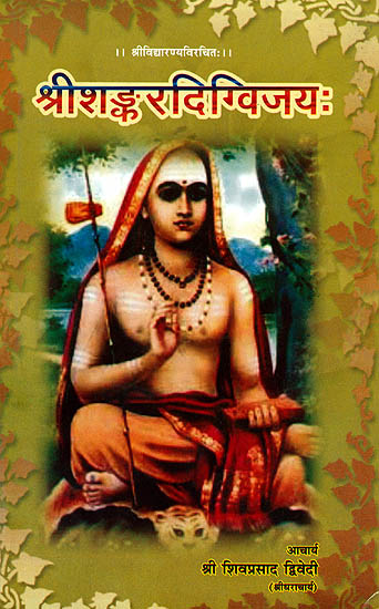 श्रीशंकरदिग्विजय (संस्कृत एवम् हिन्दी अनुवाद) - Sri Sankara Digvijaya