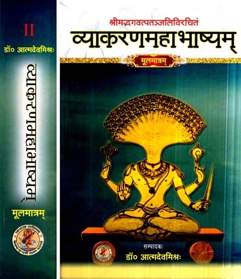 व्याकरणमहाभाष्यम्: Vyakarana Mahabhashyam - Set of 2 Volumes