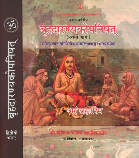 बृहदारण्यकोपनिषत्: Brihadaranyaka Upanishad with Commentaries by Shankaracharya and Anandagiri (Set of 2 Volumes)