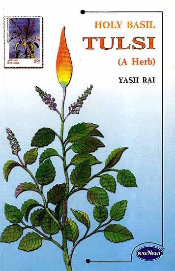 Holy Basil Tulsi (A Herb)