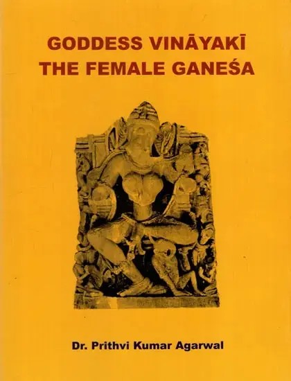 Goddess Vinayaki The Female GanesaGoddess Vinayaki The Female Ganesa (Ganesha)