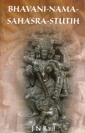 Bhavani Nama Sahasra Stutih (The Thousand Names of Bhavani) - A Page from Rudrayamala Tantra