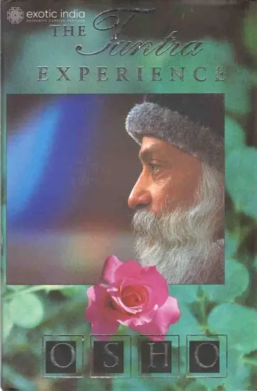 The Tantra Experience