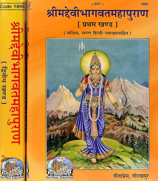 श्रीमद्देवीभागवतमहापुराण The Complete Devi Bhagavata Purana: Two Volumes