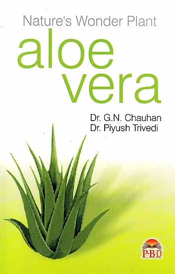 Nature’s Wonder Plant – Aloe Vera