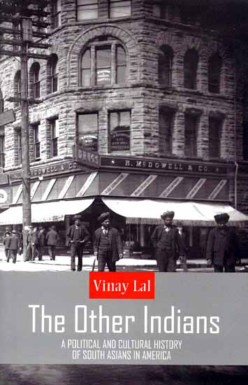 The Other Indians (A Political and Cultural History of South Asians in America)