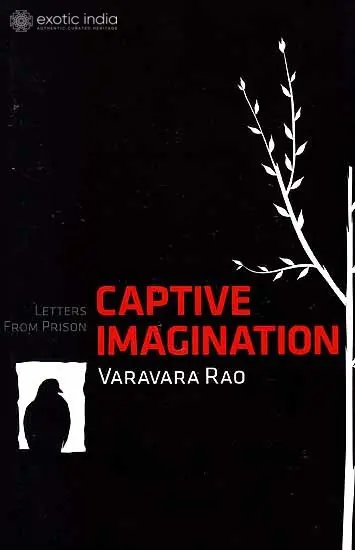 Captive Imagination: Letters from Prison