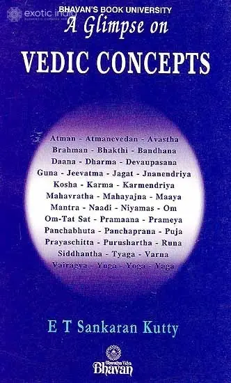 A Glimpse on Vedic Concepts