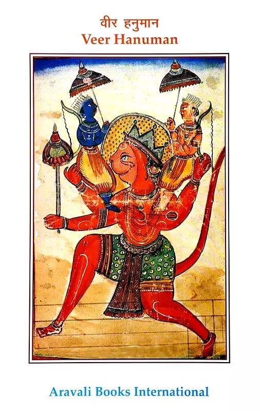 Veer Hanuman (Portfolio)