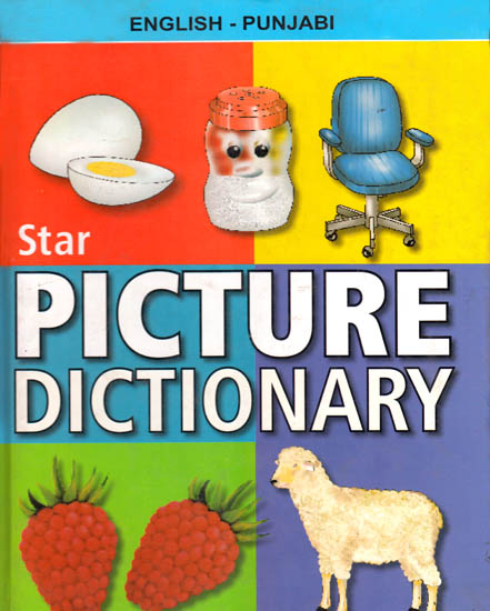 English – Punjabi Picture Dictionary (With Roman)