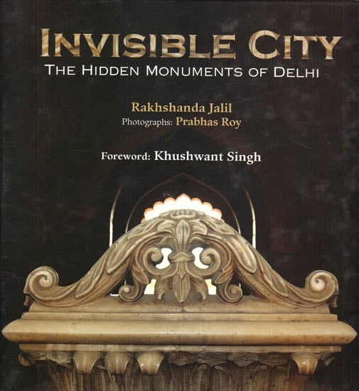 Invisible City – The Hidden Monuments of Delhi