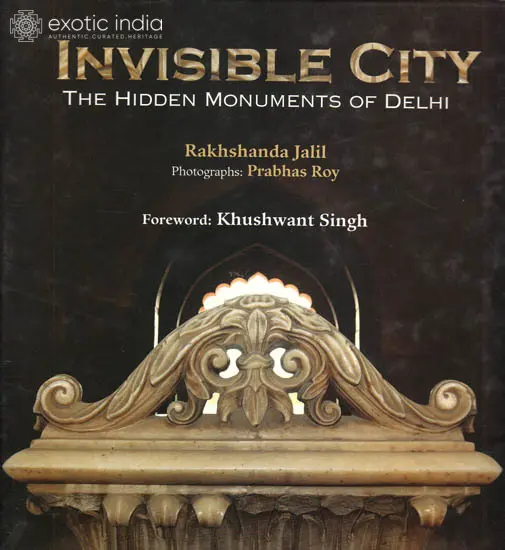 Invisible City – The Hidden Monuments of Delhi