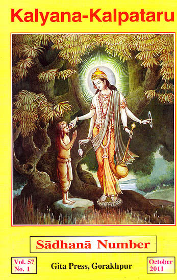 Sadhana Number (Special Issue of English Magazine Kalyana)