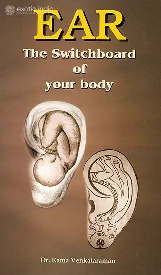 Ear: The Switchboard of Your Body