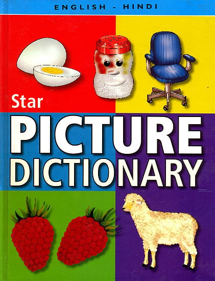 Star Chidren’s English-Hindi Picture Dictionary