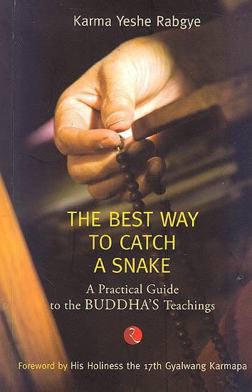 The Best Way To Catch A Snake (A Practical Guide To The Buddha’s Teachings)