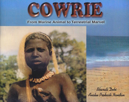 Cowrie: From Marine Animal To Terrestrial Marvel