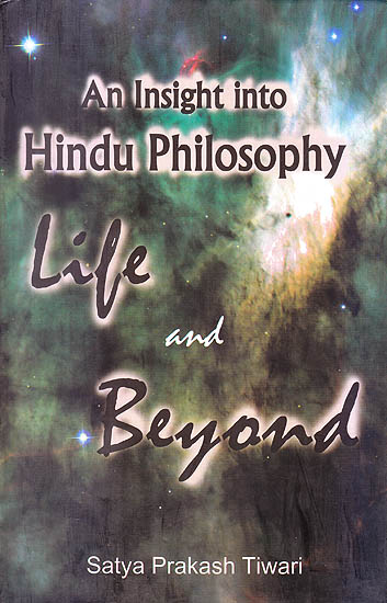 An Insight Into Hindu Philosophy Life and Beyond