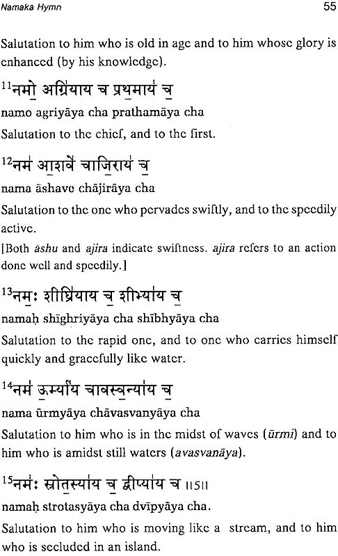 Rudra Mantras: From Taittiriya Samhita (Namaka, Chamaka,, 48% OFF