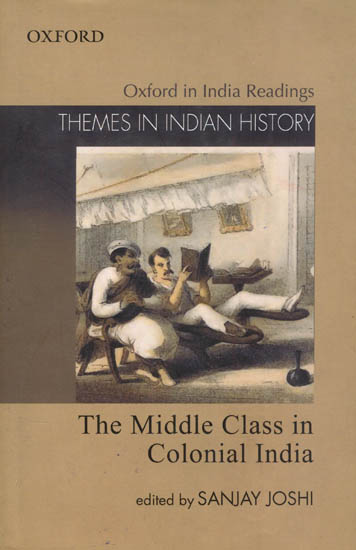 The Middle Class in Colonial India (Themes in Indian History)