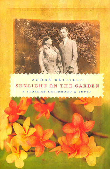 Sunlight on The Garden (A Story of Childhood and Youth)