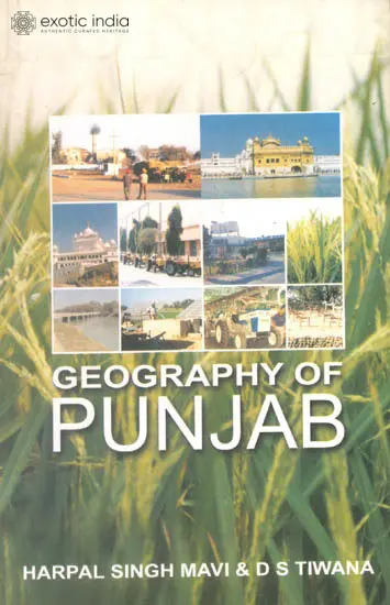 Geography of Punjab
