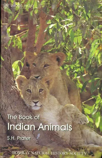 The Book of Indian Animals