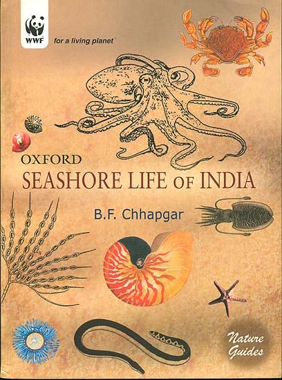 Seashore Life of India