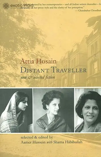 Distant Traveller (New and Selected Fiction)