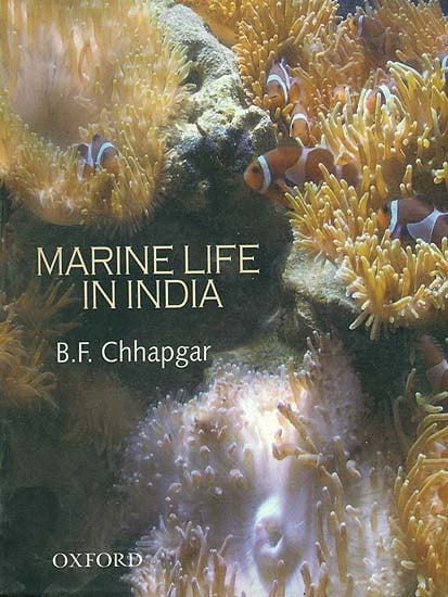 Marine Life In India