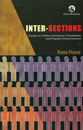 Inter-Sections (Essays on Indian Literature, Translations and Popular Consciousness)