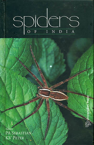 Spiders of India