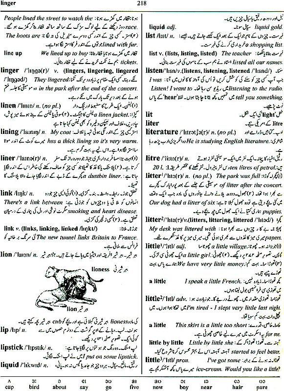 語学・辞書・学習参考書 Urdu-English Dictionary Dictionary Urdu to English | Exotic India Art