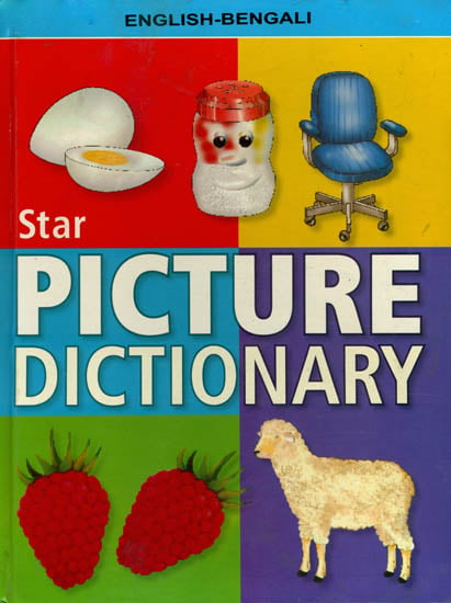 Star Picture Dictionary