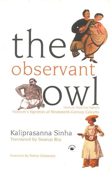 The Observant Owl