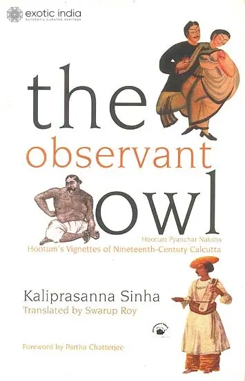 The Observant Owl