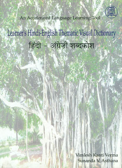 Learner's Hindi-English Thematic Visual Dictionary (Superbly Illustrated)