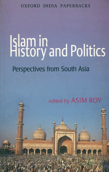 Islam in History and Politics (Perspeandalctives From South Asia)
