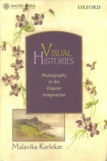 Visual Histories (Photography in the Popular Imagination)