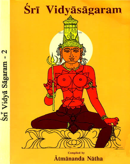 Sri Vidyasagaram (Set of 2 Volumes)